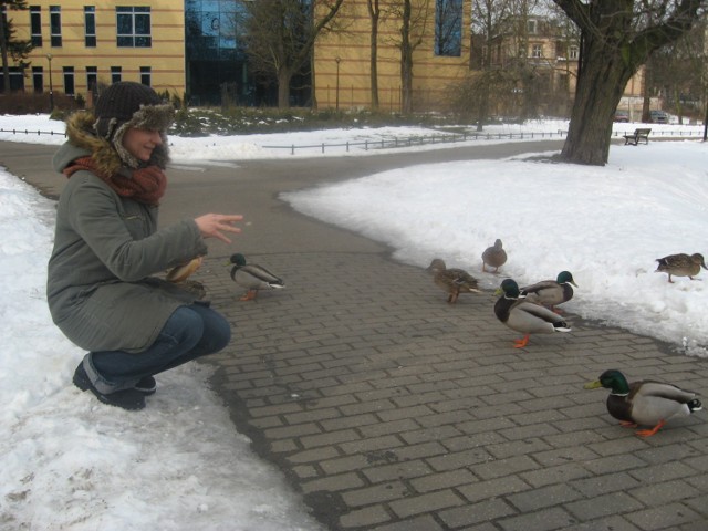 Agata Jesionowska, przechodząc przez Park Róż, zatrzymała się, by nakarmić kaczki czerstwym chlebem. – Lubię ptaki, bo są piękne, kolorowe. Bo latają. Można dzięki nim poczuć się częścią natury i to w samym centrum miasta – mówi.