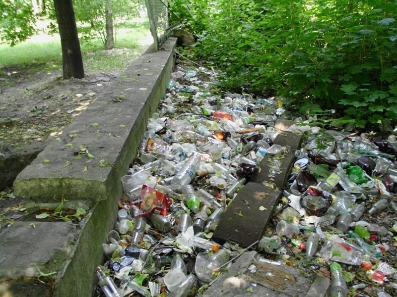 Sosnowiec: Kupa śmieci w parku przy ul. Braci Mieroszewskich w Zagórzu [ZDJĘCIA]