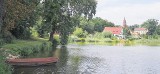 Żerkowsko-Czeszewski Park Krajobrazowy - lasy, starorzecza i Mickiewicz