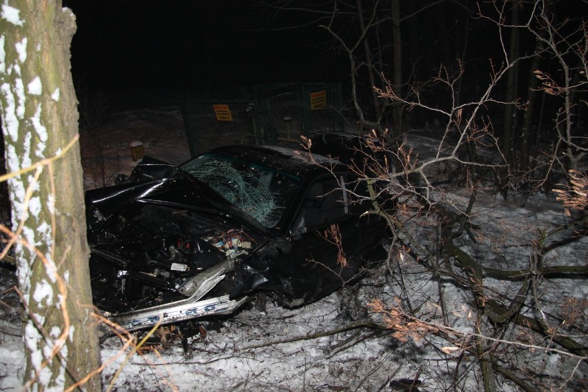 Wypadek w Grojcu: pijany kierowca bmw uderzył w drzewo [ZDJĘCIA]