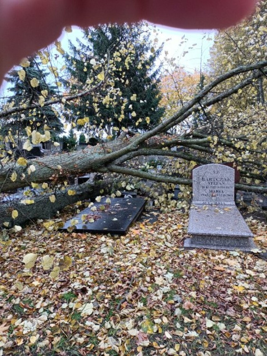 Cmentarz w Szczecinku zamknięty. Wszystko przez wichurę [zdjęcia]