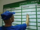 Oferty pracy w Łodzi - lipiec 2023. Na te stanowiska pracodawcy szukają pracowników. Ile można zarobić? 3.07.2023