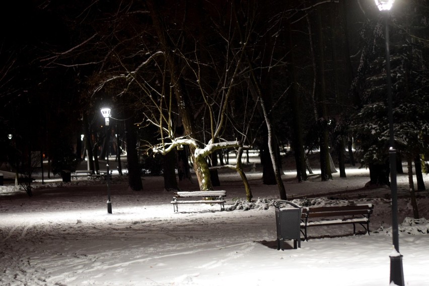Zobaczcie zdjęcia z zimowej nocy w odnowionym niedawno parku...
