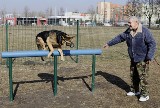 Kraków znalazł sposób na psi problem