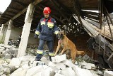 Polsko-niemieckie ćwiczenia straży pożarnej we Wrocławiu (ZDJĘCIA)