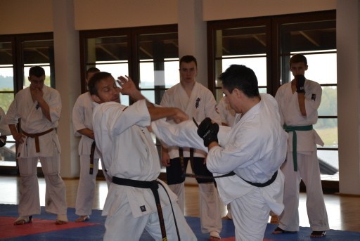 W Starej Wsi koło Kielc karatecy mają swoje centrum sztuk walki. Wkrótce podobne, choć mniejszych rozmiarów, może powstać w Lublinie.