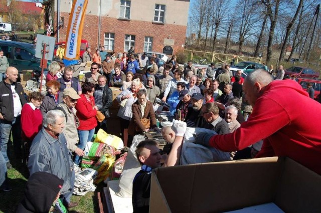 Nowy Dwór Gdański. W czwartek 11 maja kolejny finał akcji “Drzewko za makulaturę”. Za przyniesioną makulaturę będzie można otrzymać sadzonkę drzewka lub krzewu.