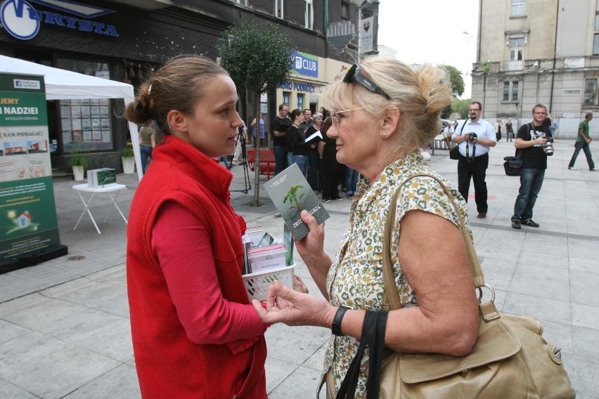 Katowice: Ksiądz, terapeuci i neofici &quot;dilowali&quot; ziołami na Mariackiej [ZDJĘCIA]