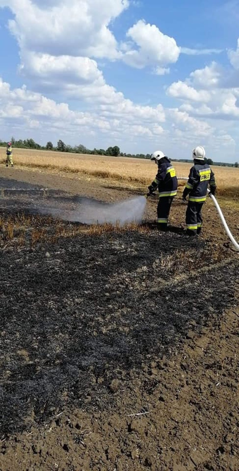 Wtorek i środa były bardzo pracowitymi dniami dla strażaków z Dobrzycy