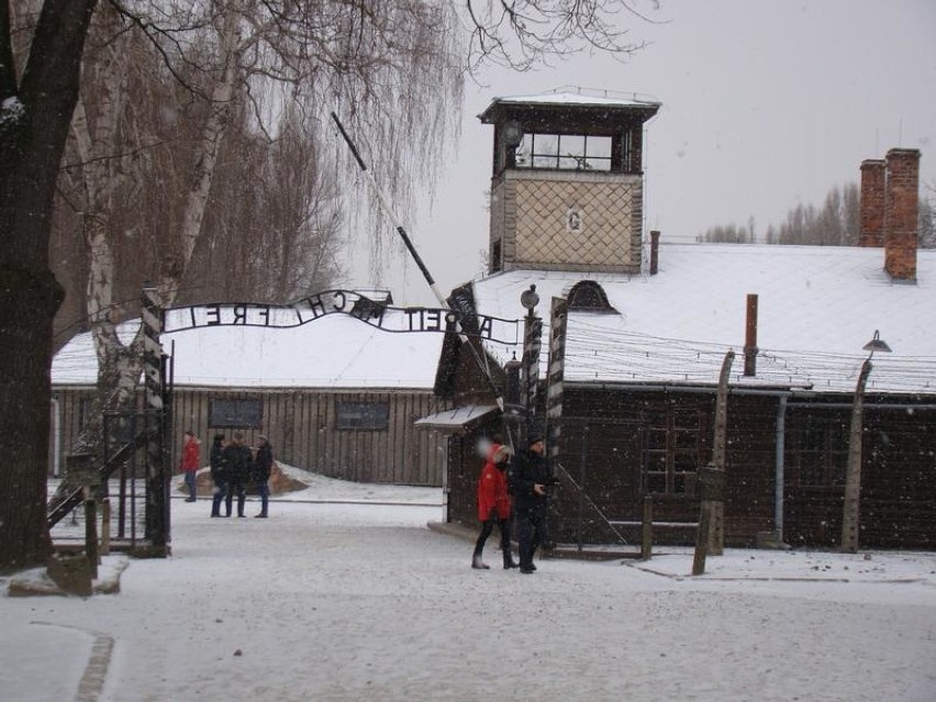 Rekord odwiedzających w Miejscu Pamięci Auschwitz-Birkenau