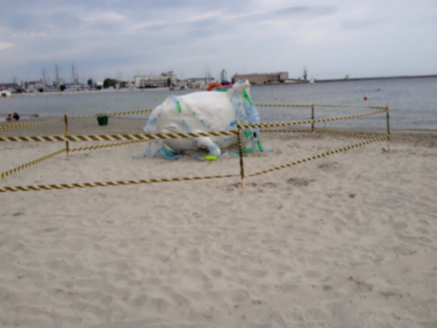 Dziwne zwierzę na plaży w Gdyni. Waleń okazał się ... rzeźbą [ZDJĘCIA]