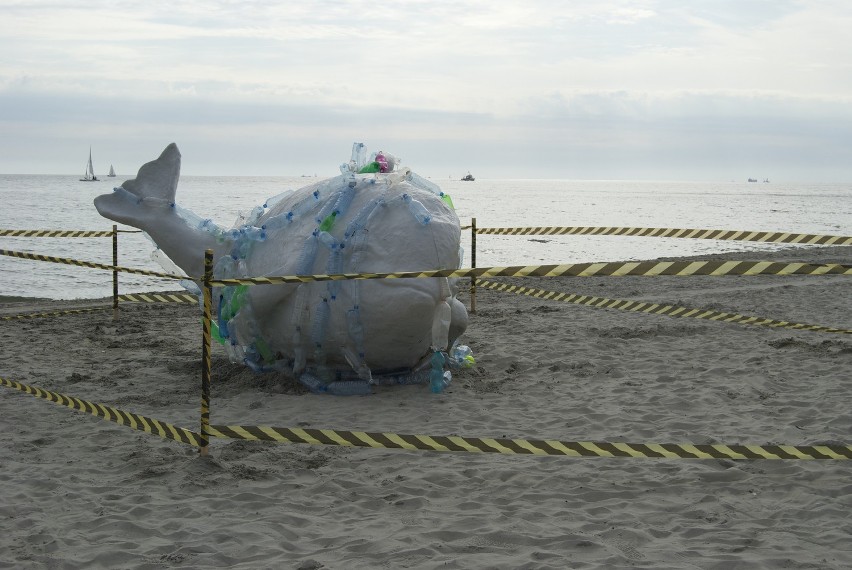 Dziwne zwierzę na plaży w Gdyni. Waleń okazał się ... rzeźbą [ZDJĘCIA]