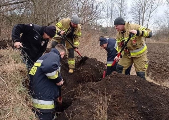 Strażacy z Podwieska uratowali psa