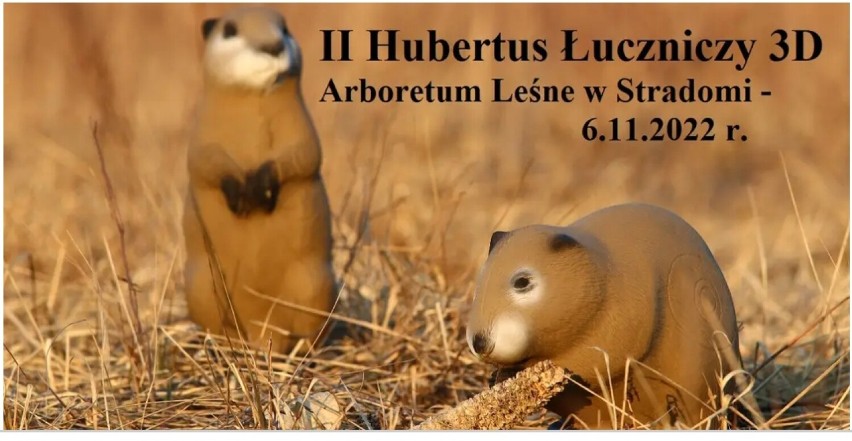 II Hubertus Łuczniczy 3D już jutro w Arboretum Leśnym w Stradomi 