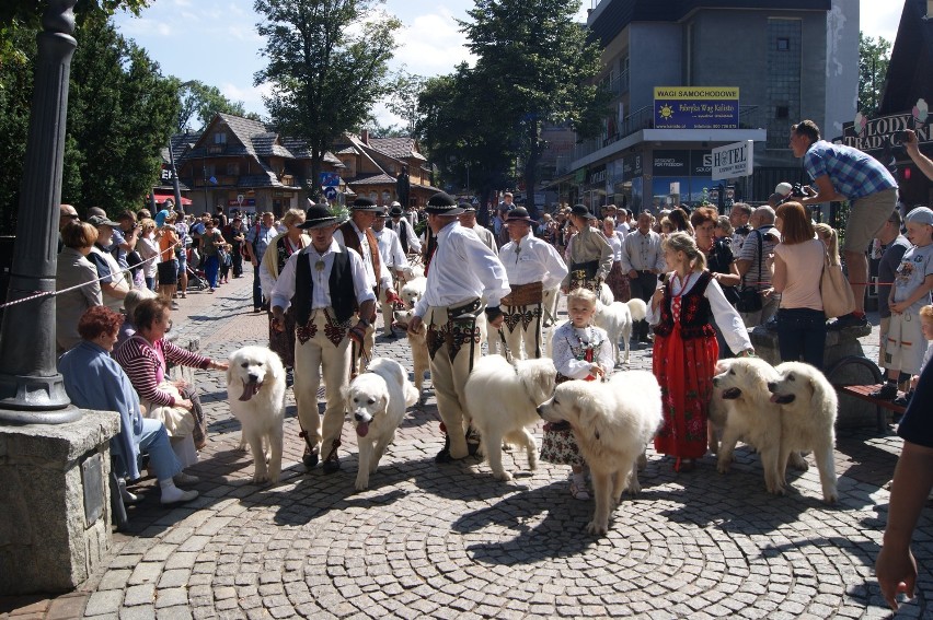 Festiwal Folkloru Ziem Górskich 2013 ruszył w Zakopanem