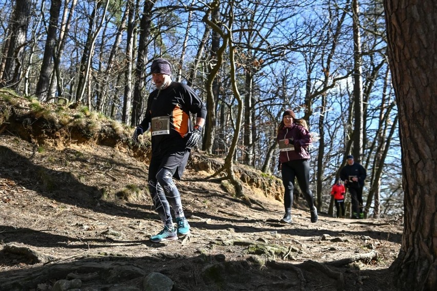 Bieganie i marsze nordic walking na różnych nawierzchniach...