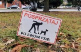 „Weź się do kupy! Sprzątaj po swoim psie”. Nowa akcja w Dąbrowie Górniczej. Na mieszkańców czekają bezpłatne zasobniki z woreczkami 