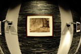 „Pejzaże” Michała Piotrowskiego w Jasielskim Domu Kultury