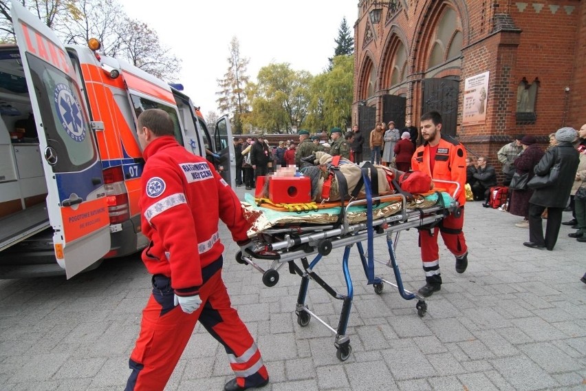 Wrocław: Konie stratowały sześć osób na ul. Kasprowicza. Trzy trafiły do szpitala