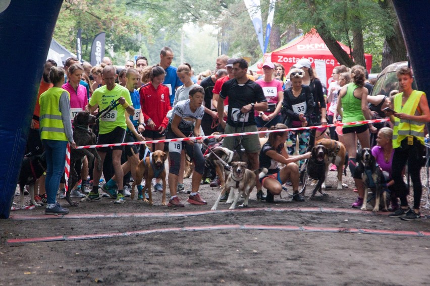 Zabierz Piesia do Międzylesia 2018. Pobiegli razem z...