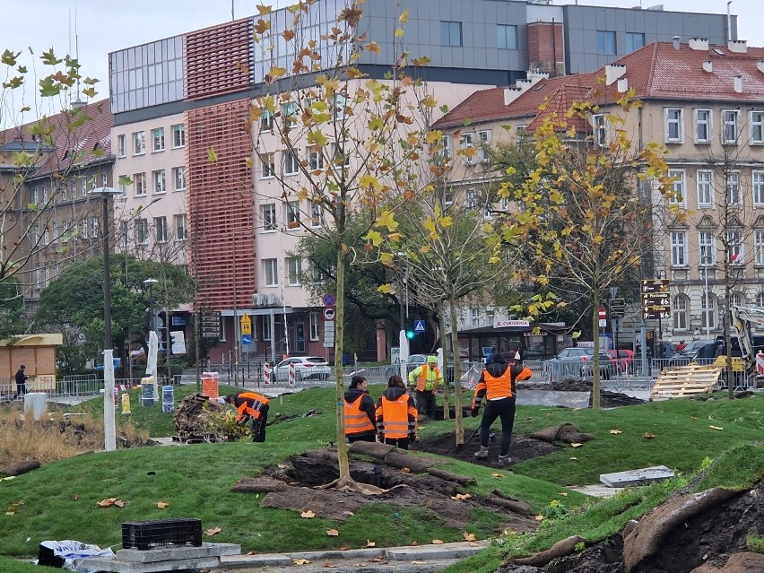 Robotnicy sadzą już drzewa i krzewy na placu przed dworcem...