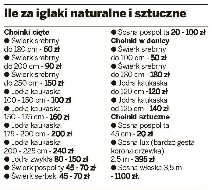 Drzewko na święta: Ile w Lublinie kosztują choinki naturalne i sztuczne (CENY)