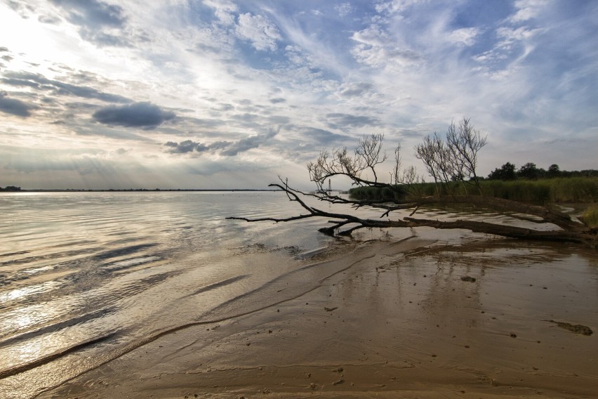 Plaża na Koziej Górce, wciśnięta jest między linie kolejowe...