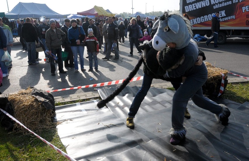 Sztuka na giełdzie w Elizówce: Warzywa, meble i artyści (FOTO)