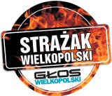 Wielkopolski Strażak Roku 2014 [ZDJĘCIA]