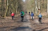 Pomimo zakazów warszawiacy chodzą do lasów. Niektórzy wręcz się ukrywają 