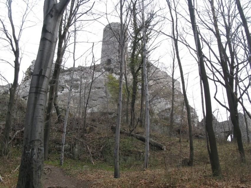 Na liczącym 163 kilometry Szlaku Orlich Gniazd, czyli zamków...