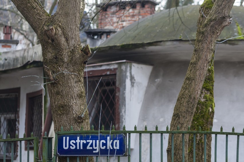 Kopulaki na ul. Ustrzyckiej w Warszawie