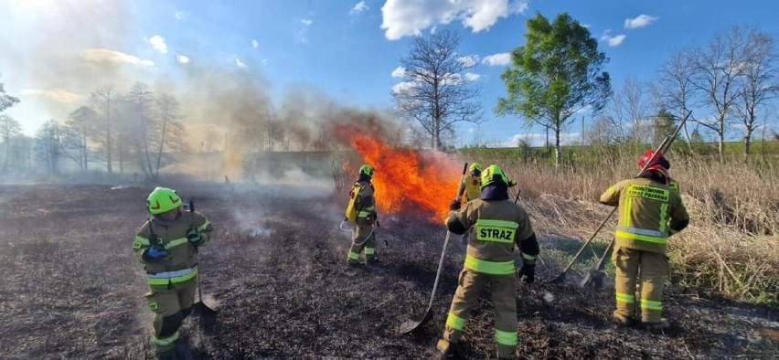 Strażacy gasili ostatnio pożar traw w rejonie ul. Rodzinnej