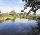 Nadwarciański Park Krajobrazowy - niezapomniane widoki, bogactwo roślin i zwierząt