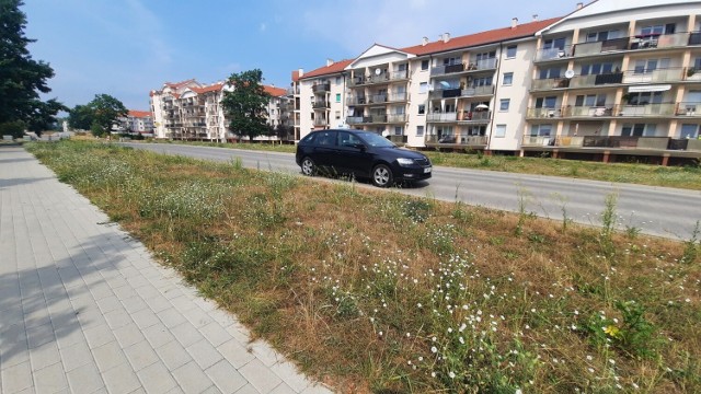 Autobusy mają zatrzymywać się za skrzyżowaniem ul. Londyńskiej z ul. Wiedeńską.