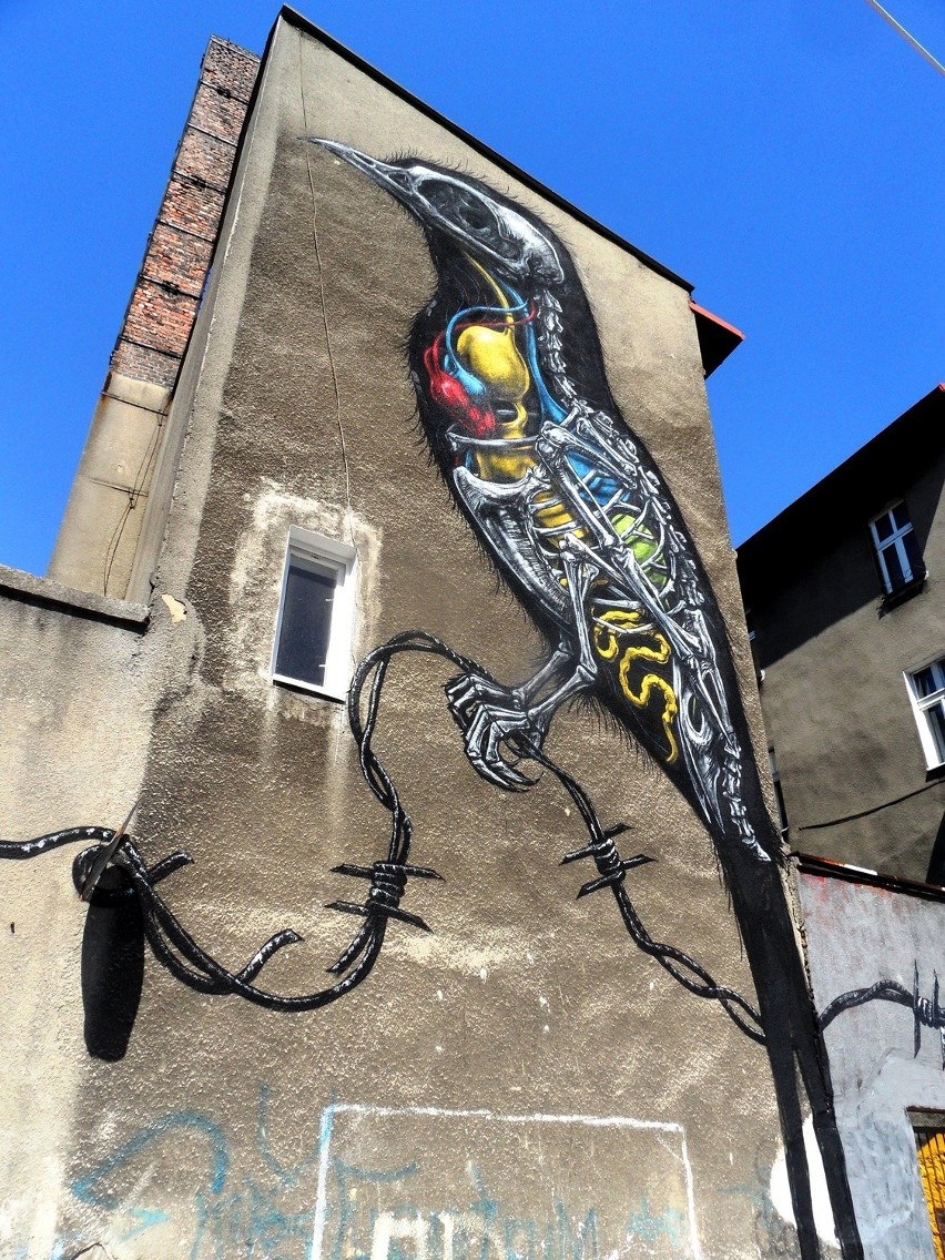 Street Art Festival w Ktowicach: Dwa ptaki na Tylnej Mariackiej [ZDJĘCIA]