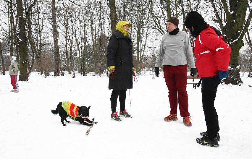 Sobotni parkrun w Parku Poniatowskiego [ZDJĘCIA+FILM]