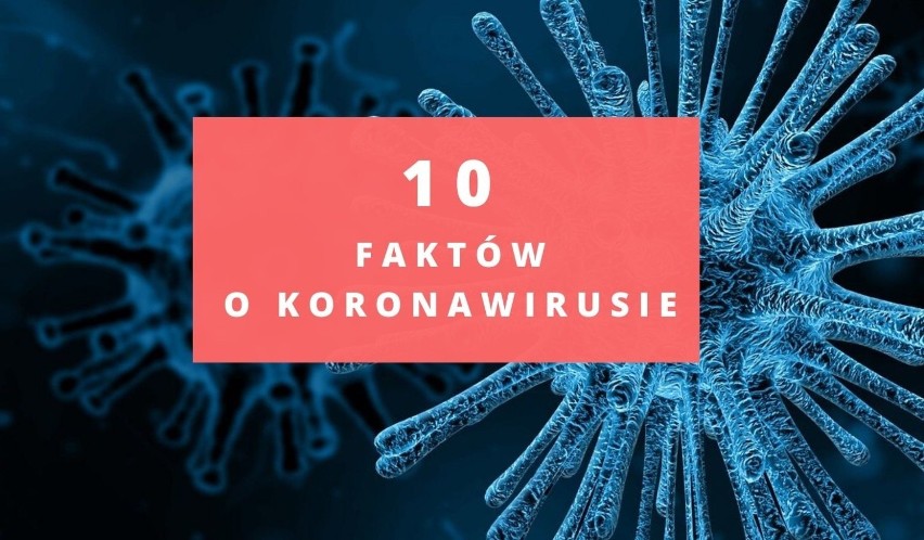 Koronawirus. 10 rzeczy, które wiemy i 10, których nie wiemy o wirusie!