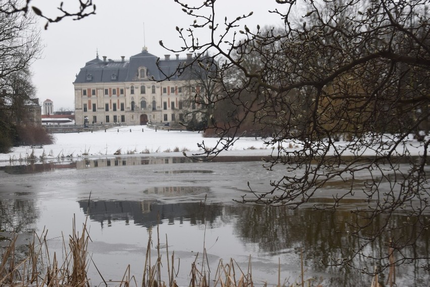 Muzeum Zamkowe w Pszczynie