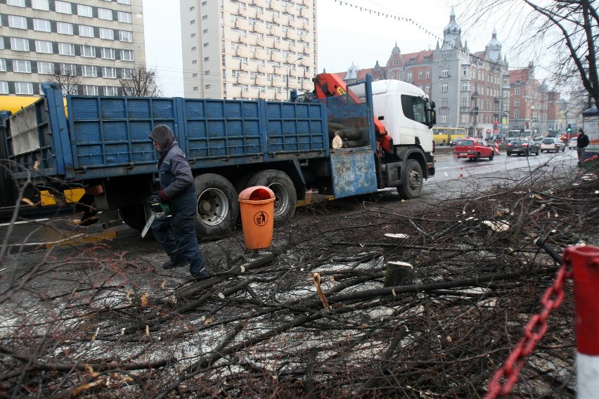 Katowice: Wielka wycinka drzew przy alei Korfantego [ZDJĘCIA]