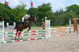 Stadniny koni w Warszawie: Zobacz, gdzie pojeździć konno! [PRZEGLĄD]