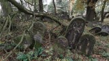Zabytkowy cmentarz żydowski w Piotrkowie popada w ruinę. Łódzka gmina żydowska nie dba o niego od lat - ZDJĘCIA