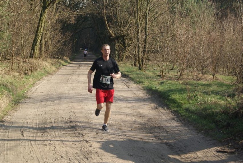 II Wiosenny Cross w Dąbrowie