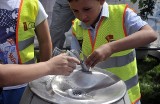 Zdroje w gdańskich szkołach. Picie czystej wody przez uczniów ma zapobiegać otyłości