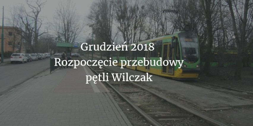 Najpierw przeprowadzono wycinkę drzew, w dalszej kolejności...