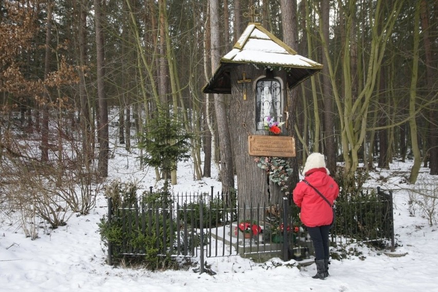 Kapliczka na skraju lasu, przy końcu ul.  Zajęczej w Oliwie....