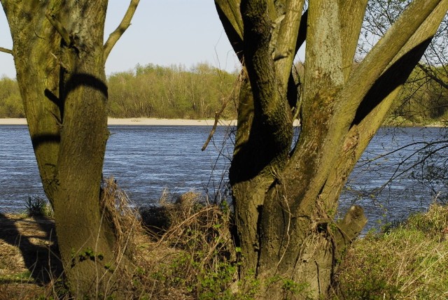 Annopol: 6-latek utonął w Wiśle. Są zarzuty dla matki