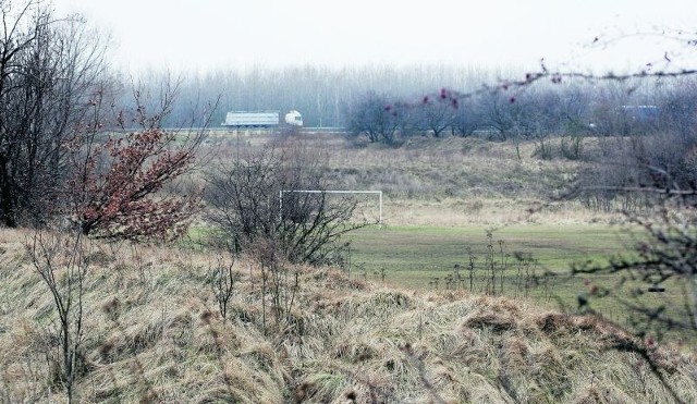 Pola ryżowe w Legnicy od dwóch lat czekają na inwestorów.  Za rok staną się atrakcyjnym miejscem do inwestowania dla firm