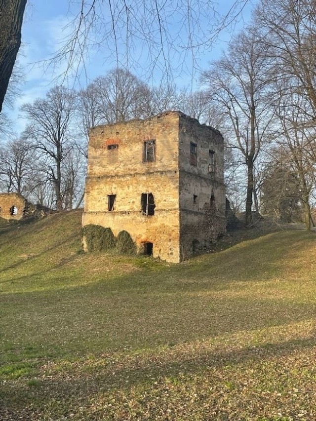 W Dąbrówce Starzeńskiej, miejscowości w gminie Dynów w powiecie rzeszowskim znajdują się pozostałości warownej rezydencji z drugiej połowy XVI w.
