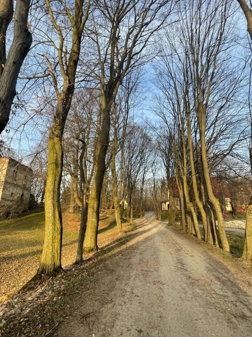 W Dąbrówce Starzeńskiej, miejscowości w gminie Dynów w...